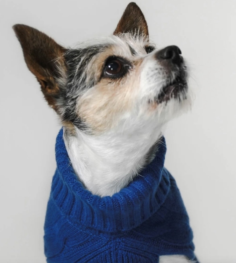Medium Dog Sweaters